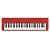 CASIO CT-S1RD, Red
