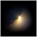 LIGHT MY BRICKS Bit Lights White, 30cm, 4-Pack (103094)