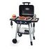 SMOBY Barbecue Kindergrill (312001)