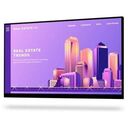 DELL P2422HWOS, ohne Standfuss (210-AZYY)