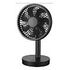 SCHÖNENBERGER Aiolos Hedeun Desktop Fan, Black (67.7031)