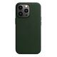 APPLE iPhone 13 Pro Leder Case mit MagSafe, Schwarzgrün [Late 2021] (MM1G3ZM/A)