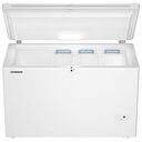 LIEBHERR CFd 2085 Plus