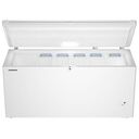 LIEBHERR CFd 2505 Plus