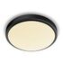 PHILIPS Doris LED Bathroom Ceiling Light 17W, 2700K, Black (32660600)