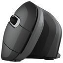 TRUST Verro Ergonomic Wireless Mouse, Black (23507)
