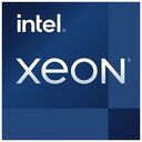 INTEL Xeon W-3335 "Ice Lake", 16x 3.4GHz (4.0GHz), Socket 4189, Tray (CD8068904708401)