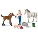 SCHLEICH Farm World - Vet visiting Mare and Foal (42486)