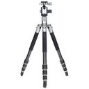 ROLLEI Lion Rock Traveler S - Carbon (22714)