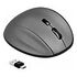 DELOCK Wireless Ergonimic Mouse, Grey (12016)