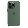 APPLE iPhone 13 Pro Silicone Case with MagSafe, Eucalyptus [Early 2022] (MN673ZM/A)