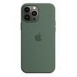 APPLE iPhone 13 Pro Max Silicone Case with MagSafe, Eucalyptus [Early 2022] (MN6C3ZM/A)