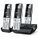 GIGASET Comfort 500A Trio (L36852-H3023-F111)