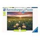 Nature Edition: Pusteblumen im Sonnenuntergang - 500 pieces (Ravensburger)