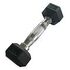 SVELTUS Hexagonal dumbbell 1 kg x1