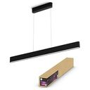 PHILIPS Hue White & Color Ambiance - Ensis Pendelleuchte, Schwarz (34336800)