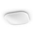 PHILIPS Cavanal LED Ceiling Light, 18W, 2700K, White (915005676801)