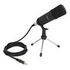 DELOCK Professional Computer Podcasting Microphone (66640)