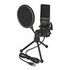 DELOCK USB Condenser Microphone Set (66331)