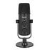 DELOCK Multifunctional Dual Capsule USB Microphone (66822)