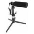 DELOCK Vlog Shotgun Microphone Set (66582)