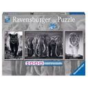 Panter, Elefanten, Löwe - 1000 Teile (Ravensburger)