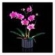 LIGHT MY BRICKS Orchid Light Kit (103313)