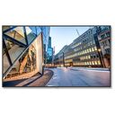 NEC MultiSync C750Q (60005460)