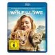 Der Wolf und der Löwe (Blu-ray, 2021, G.Greene / M.Kunz)