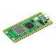 RASPBERRY PI Pico W