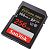 SANDISK Extreme PRO SDXC, 256GB (SDSDXXD-256G-GN4IN)