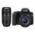 CANON EOS 250D Kit, EF-S 18-55mm DC III + 75-300mm DC III, Schwarz (3454C016)