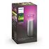 PHILIPS Hue White & Color Ambiance - Calla Outdoor Pedestal, Silver (929003098601)