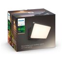 PHILIPS Hue White - Welcome Outdoor Floodlight Wall Light, Black (915005731602)