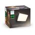 PHILIPS Hue White - Welcome Outdoor Floodlight Wall Light, Black (915005731602)