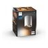 PHILIPS Hue White Ambiance - Pillar Ceiling Light 1-Spot, Extension, White (929003046801)