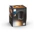 PHILIPS Hue White Ambiance - Pillar Deckenleuchte 1er-Spot, Schwarz (929003046501)