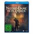 Notre-Dame in Flammen (Blu-ray, 2022, S.Labarthe / J.P.Bordes)