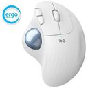 LOGITECH ERGO M575 Wireless Trackball for Business, Grey / White (910-006438)