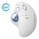 LOGITECH ERGO M575 Wireless Trackball for Business, Grey / White (910-006438)