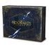 Hogwarts Legacy - Collector's Edition (Warner Bros.), Xbox Series X