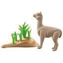 PLAYMOBIL Wiltopia - Alpaca (71062)