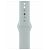 APPLE Sportarmband 45mm, Agavengrün, Regular [Late 2022] (MP7M3ZM/A)