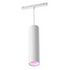 PHILIPS Hue White & Color Ambiance - Perifo Pendant Light - Extension, White (929003116001)