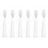 AILORIA Flash Travel Replacement Brush Heads - 6-Pack, White (50349397)