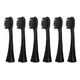 AILORIA Shine Bright Charcoal Replacement Brush Heads - 6-Pack, Black (50361675)