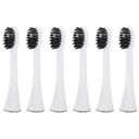AILORIA Shine Bright Charcoal Replacement Brush Heads - 6-Pack, White (50361676)