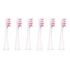 AILORIA Shine Bright Replacement Brush Heads - 6-Pack, White (50352560)