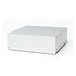 PRO-JECT Amp Box DS2, Silver