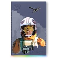 SEAGATE FireCuda Gaming HDD + Rescue, 2.0TB, Luke Skywalker Special Edition (STKL2000412)